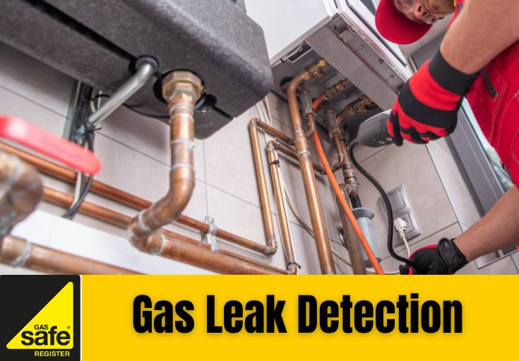 gas leak detection Ditton 