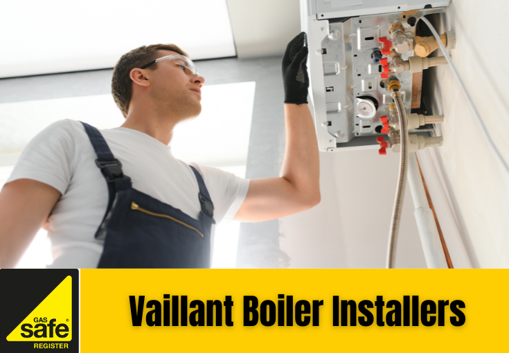 Vaillant boiler installers Ditton 